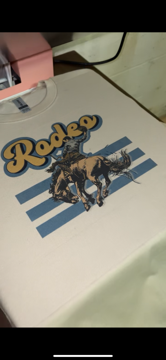 RODEO BRONC