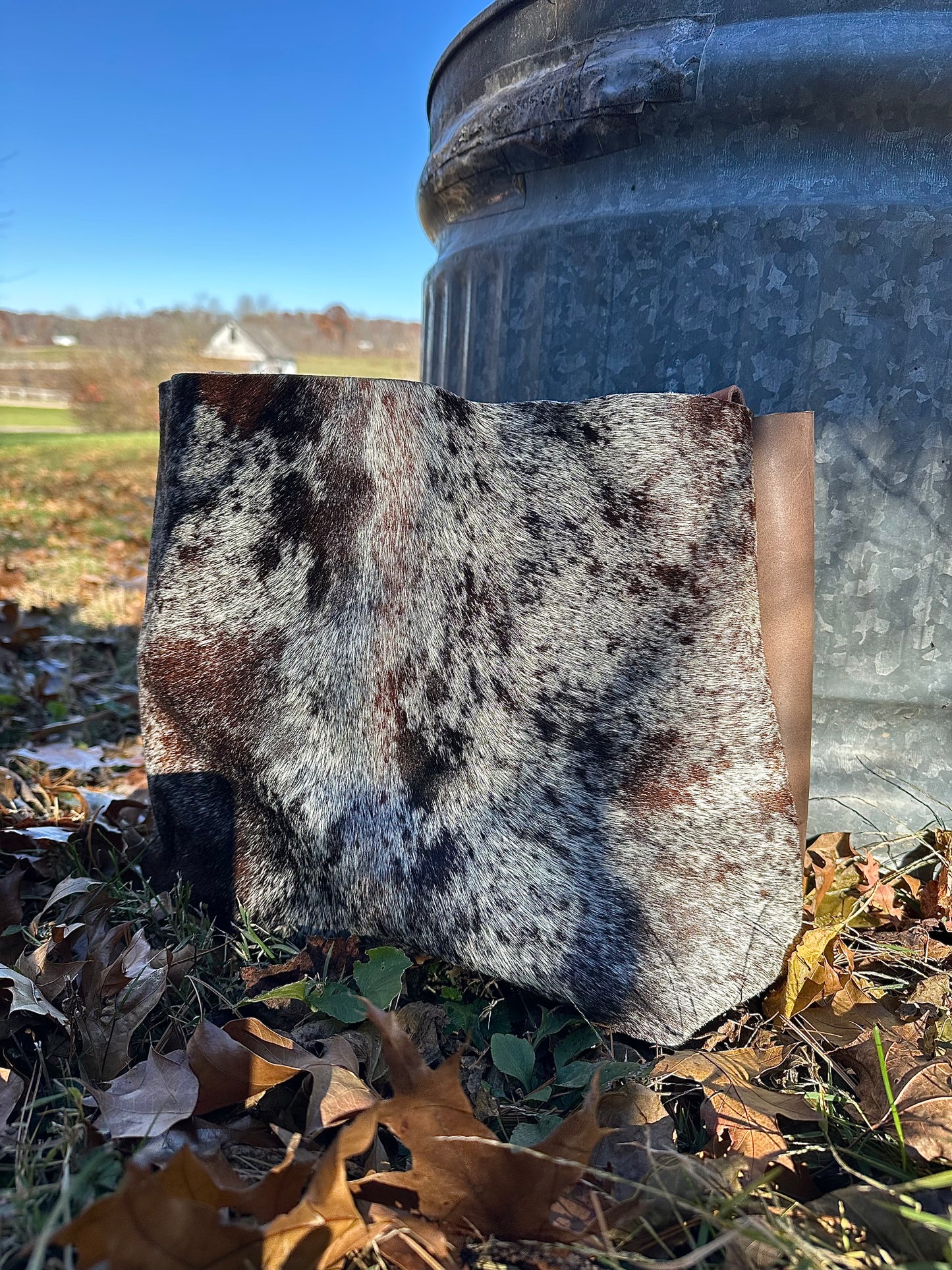 THE HAIR ON HIDE DAYTRIP