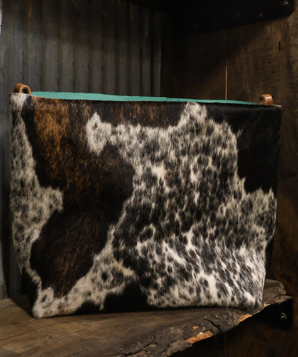 THE HAIR ON HIDE DAYTRIP